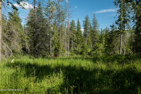 Parcel 5 Daisy Lane Santa Creek Estates, Saint Maries, ID 83861