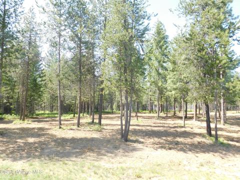 Blk 1 Lot 3b Barn Owl, Spirit Lake, ID 83869