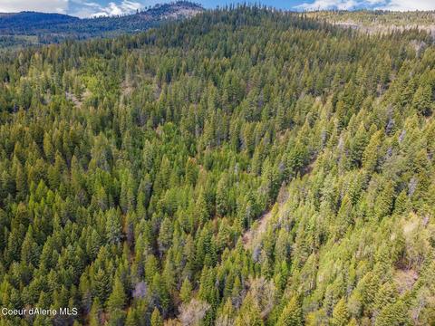 Nna Fish Creek Rd, Cocolalla, ID 83813