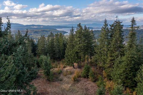 Nna S Caribou Ridge Rd, Harrison, ID 83833