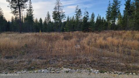 lot M1 Pioneer Ln, Priest River, ID 83856