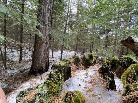 Nna Toad Rd, Priest Lake, ID 83856