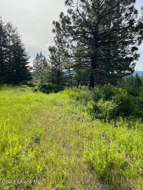 L11 B1 S Cedar Grove, Harrison, ID 83833