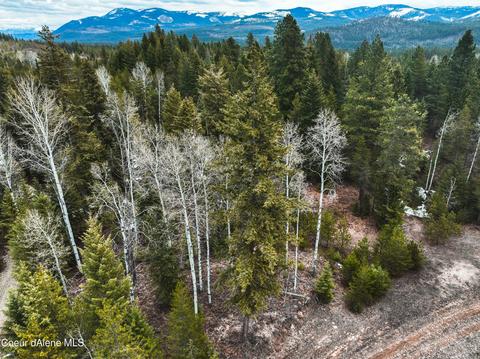 Nna Saddleback Dr. Blk 1 Lot 10, Naples, ID 83847
