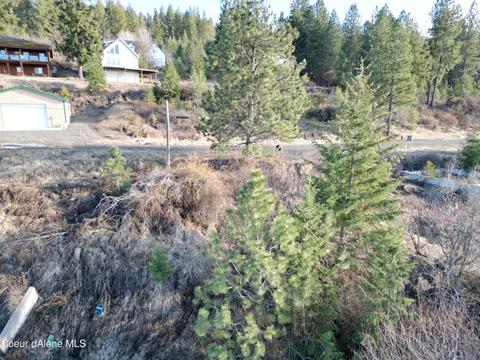 290 Frederick Ave, Harrison, ID 83833 photo 5