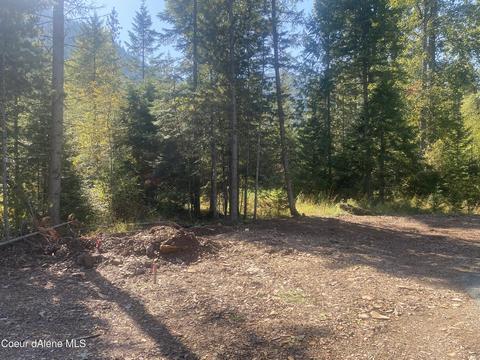 Nna Road 32 Parcel 2, Clark Fork, ID 83811