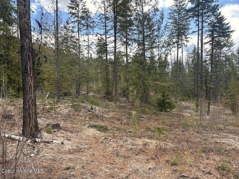 Parcel D Solomon Lake Rd, Moyie Springs, ID 83845