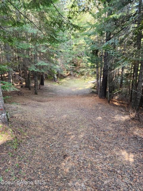 1807 Santa Creek Rd, Saint Maries, ID 83861