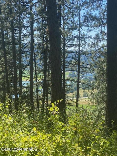 Nna Hells Gulch Rd, Saint Maries, ID 83861