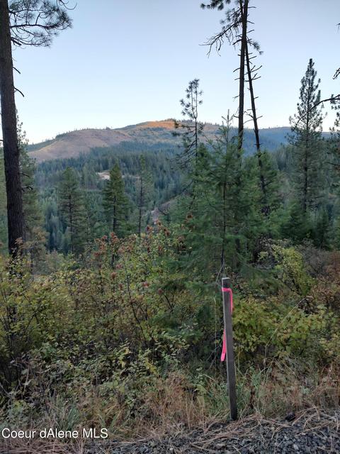 Nna Wagon Wheel Rd, Saint Maries, ID 83861