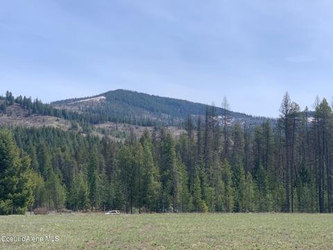 Nka Hoo Doo Loop Rd, Oldtown, ID 83822