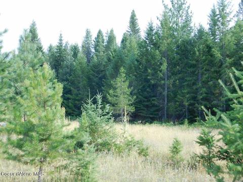 6599 River Rd, Clark Fork, ID 83811 photo 13