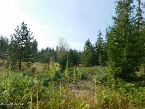 6599 River Rd, Clark Fork, ID 83811 photo 19