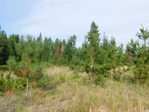 6599 River Rd, Clark Fork, ID 83811 photo 16