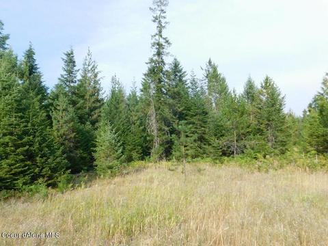6599 River Rd, Clark Fork, ID 83811 photo 14