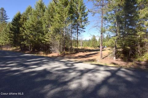 6599 River Rd, Clark Fork, ID 83811 photo 3