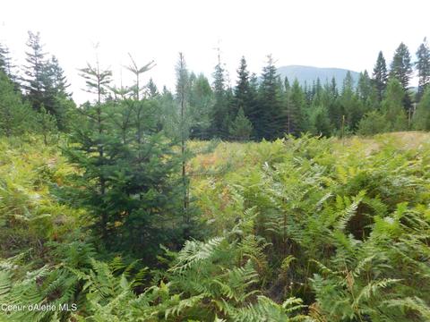 6599 River Rd, Clark Fork, ID 83811 photo 10