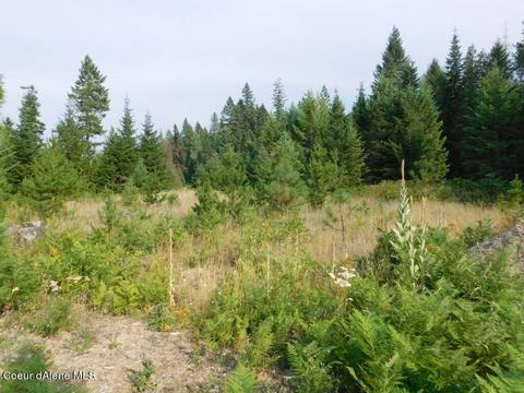 6599 River Rd, Clark Fork, ID 83811 photo 15