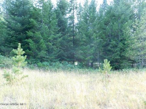 6599 River Rd, Clark Fork, ID 83811 photo 18