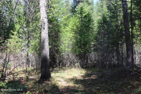 Nna Pinecrest Loop, Sandpoint, ID 83864