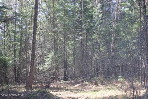 Nna Pinecrest Loop, Sandpoint, ID 83864 photo 14