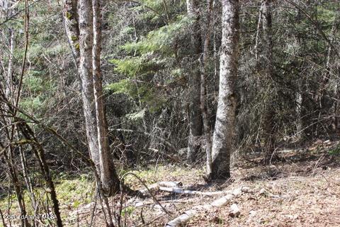 Nna Pinecrest Loop, Sandpoint, ID 83864 photo 19