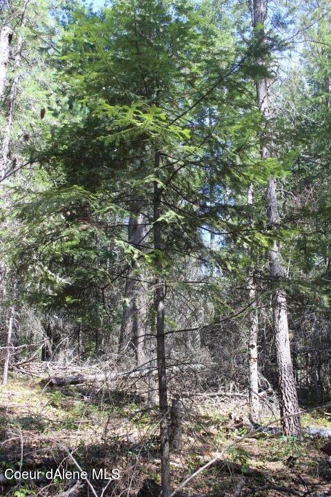 Nna Pinecrest Loop, Sandpoint, ID 83864 photo 20