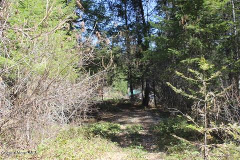 Nna Pinecrest Loop, Sandpoint, ID 83864 photo 3