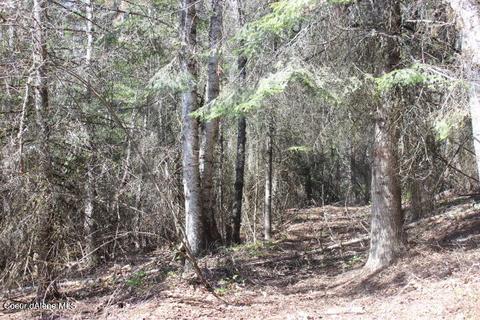 Nna Pinecrest Loop, Sandpoint, ID 83864 photo 17