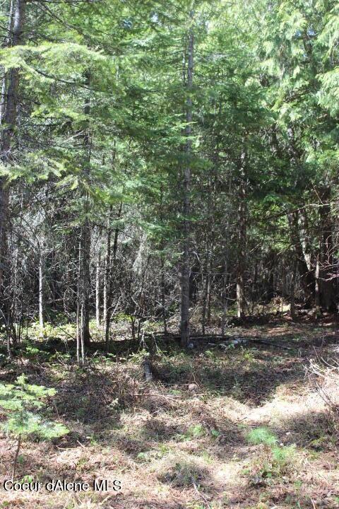 Nna Pinecrest Loop, Sandpoint, ID 83864 photo 23
