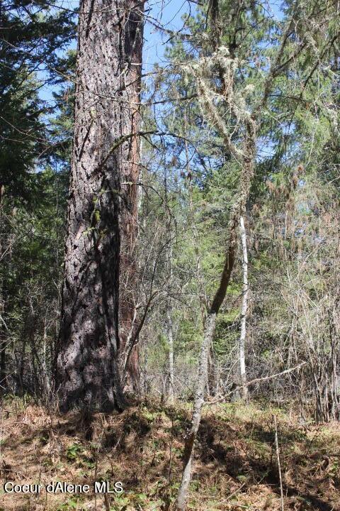 Nna Pinecrest Loop, Sandpoint, ID 83864 photo 9