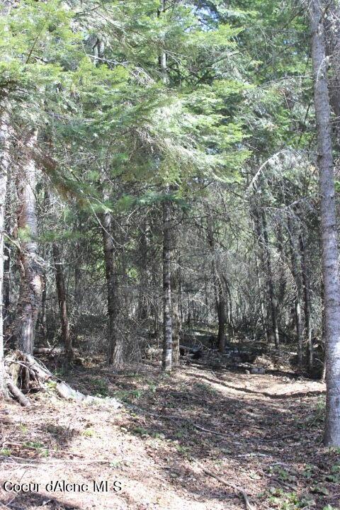 Nna Pinecrest Loop, Sandpoint, ID 83864 photo 18