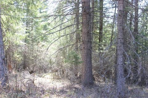Nna Pinecrest Loop, Sandpoint, ID 83864 photo 13