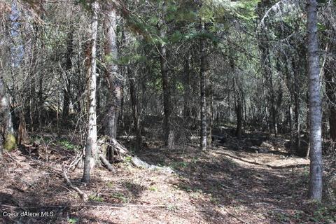 Nna Pinecrest Loop, Sandpoint, ID 83864 photo 15