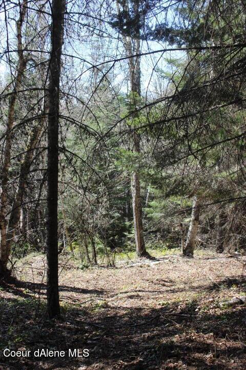 Nna Pinecrest Loop, Sandpoint, ID 83864 photo 21
