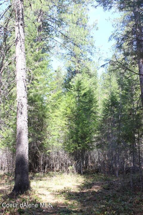 Nna Pinecrest Loop, Sandpoint, ID 83864 photo 24