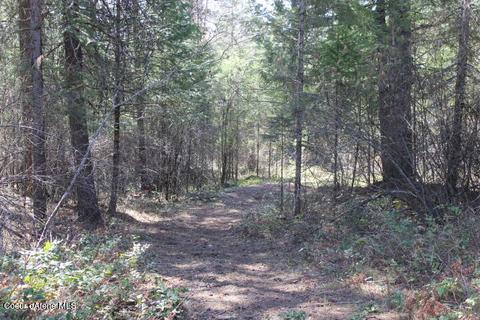 Nna Pinecrest Loop, Sandpoint, ID 83864 photo 11