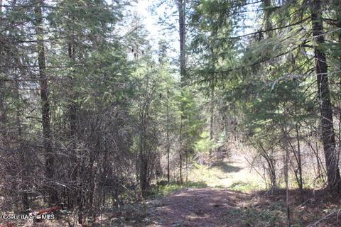 Nna Pinecrest Loop, Sandpoint, ID 83864 photo 12