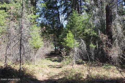 Nna Pinecrest Loop, Sandpoint, ID 83864 photo 10