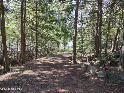 W River Dr, Clark Fork, ID 83811 photo 4
