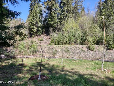 W River Dr, Clark Fork, ID 83811 photo 10