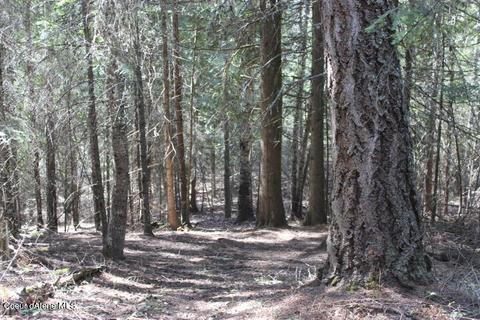 Nna Pinecrest Loop, Sandpoint, ID 83864
