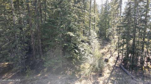 Nna E Highway 200, Clark Fork, ID 83811 photo 19