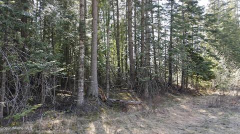 Nna E Highway 200, Clark Fork, ID 83811 photo 22