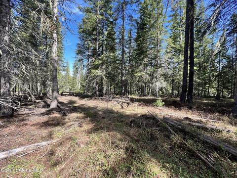 Nka Janes Ln, Saint Maries, ID 83861