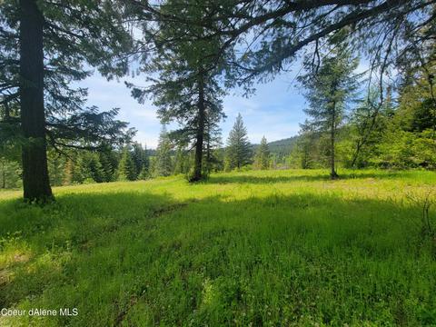 Nka Stott Rd Lot2, Harrison, ID 83833
