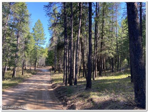 1175 Dusty Ln, Naples, ID 83847 photo 49