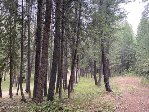 1175 Dusty Ln, Naples, ID 83847 photo 60