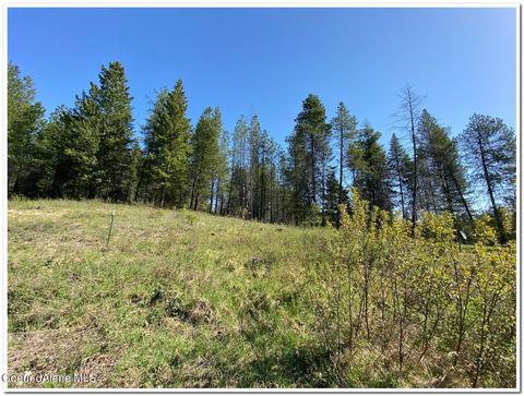 1175 Dusty Ln, Naples, ID 83847 photo 24