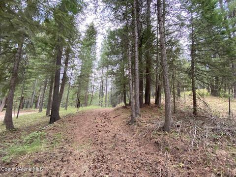 1175 Dusty Ln, Naples, ID 83847 photo 14